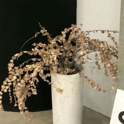 晋中福瑞交流群